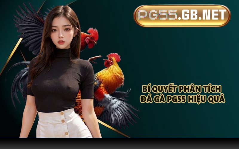 Bí quyết phân tích đá gà PG55 hiệu quả