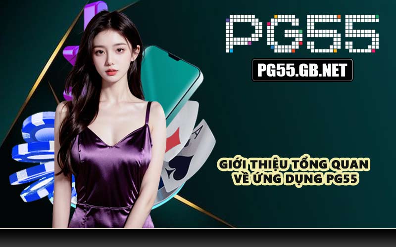 Giới thiệu tổng quan về ứng dụng PG55