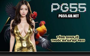 Tổng quan về thuốc đá gà bịp PG55